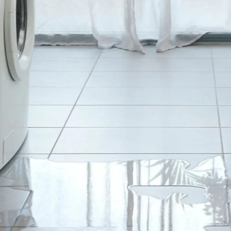 Appliance Leak Cleanup in Oceana County, MI