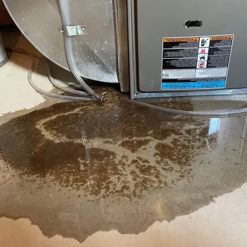 Pipe Burst and Leak Restoration in Oceana County, MI