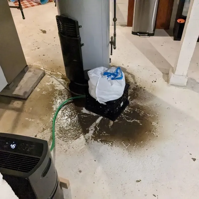 Sewage Backup Cleanup Service in Oceana County, MI